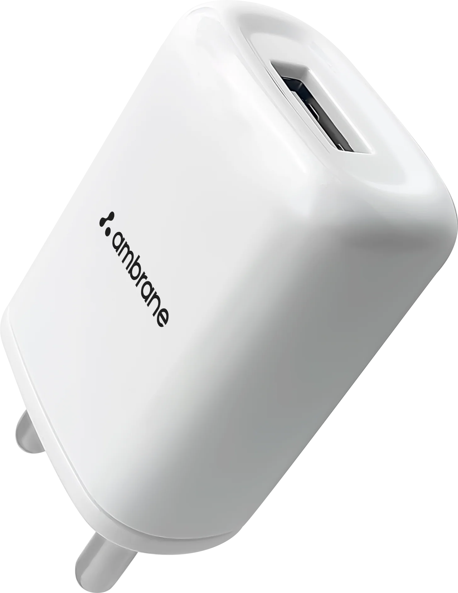 RAAP S11 - Image 2