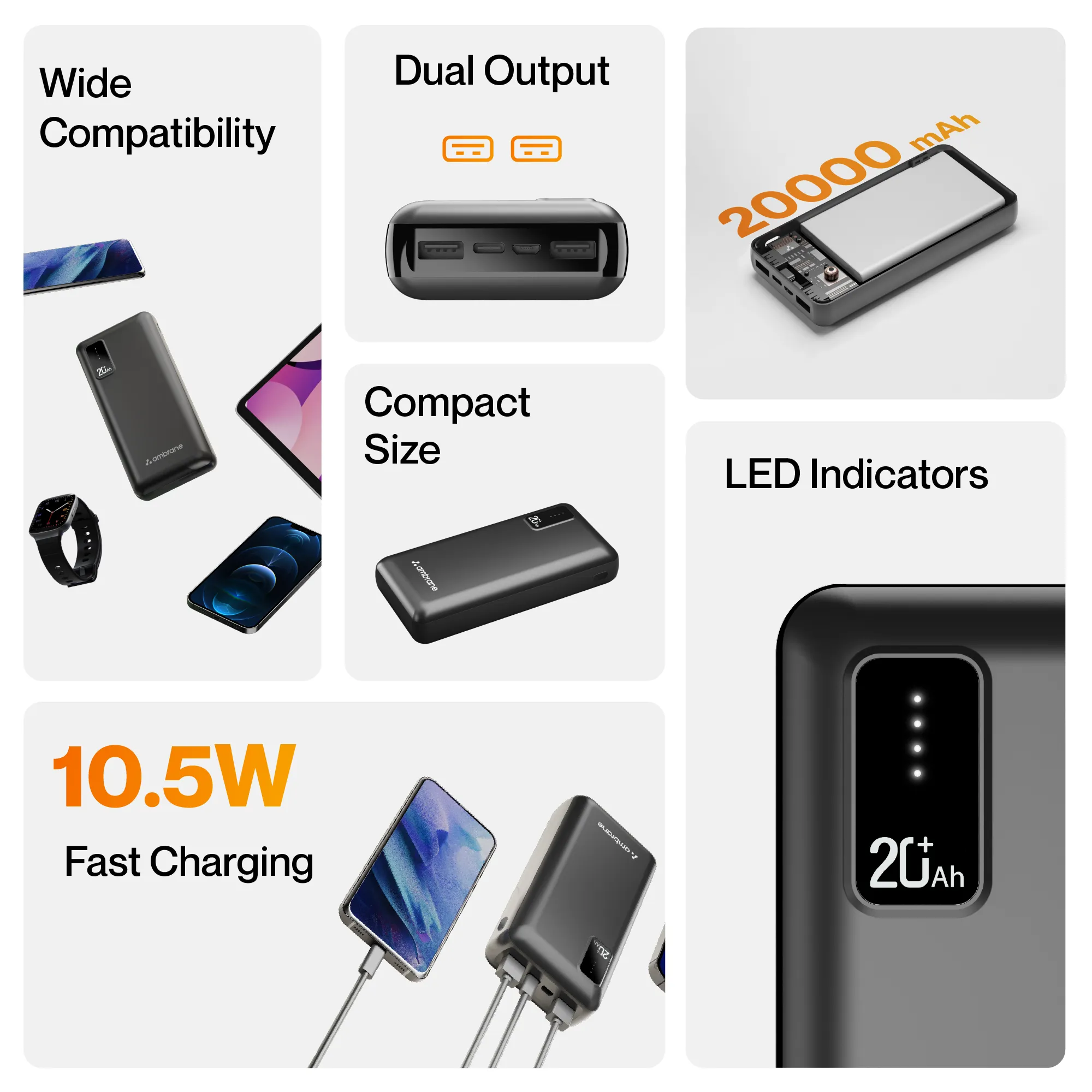 Capsule 20 - Image 4